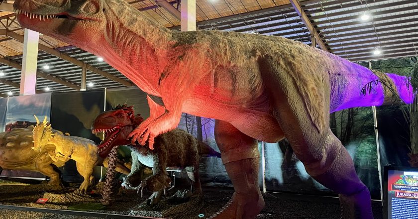 This Weekend in San Diego: Dinosaur Exhibit Visits Del Mar.