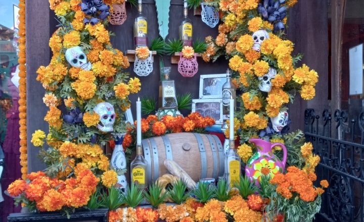 "La Tia" El Nuevo Columnista de Estilo de Vida de Hispanos Unidos Celebra el Día de los Muertos Aquí en San Diego.