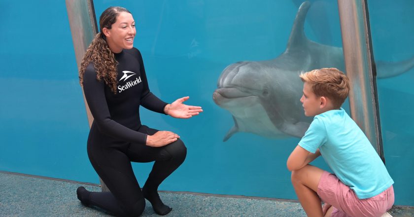 SeaWorld San Diego’s Popular Inside Look Event Returns to Inspire and Educates Guests with Exclusive and Behind-the-Scenes Opportunities