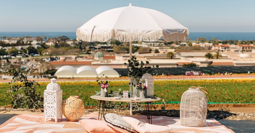 LA CONEXION: From Petals to Palates: The Flower Fields Transforms for Year Two of PICNICS + FLOWERS