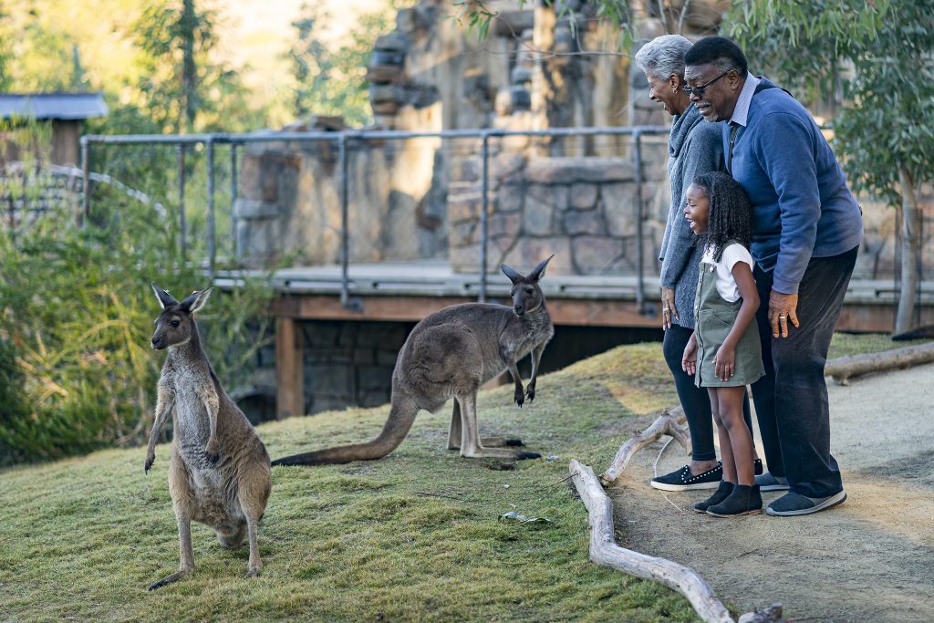 San Diego Zoo Safari Park to Host Seniors Free in February - Hispanos News