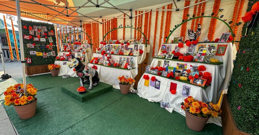 LA CONEXION: L.A. Zoo’s ‘Beloved Pets Ofrenda’ Returns for Hispanic Heritage Month and Día de los Muertos