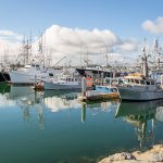 Celebrating World Fisheries Day: Latinos’ Growing Role in U.S. Fisheries and the Need for Change