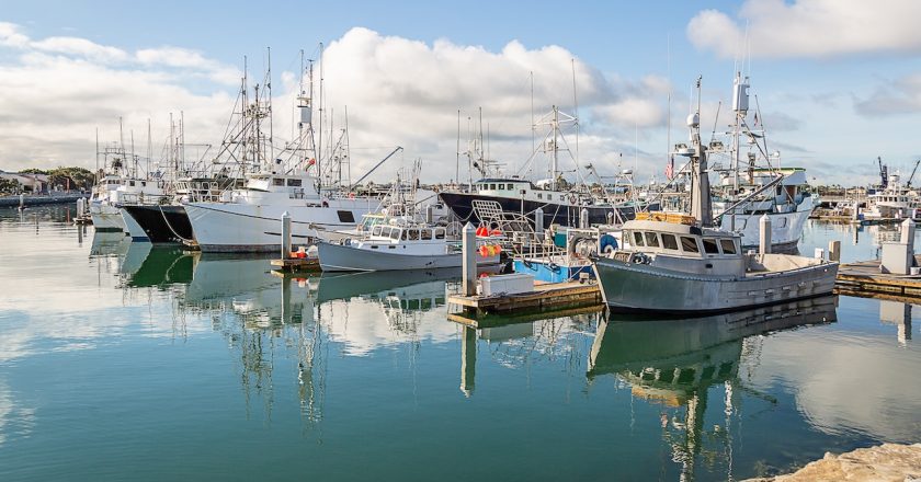 Celebrating World Fisheries Day: Latinos’ Growing Role in U.S. Fisheries and the Need for Change