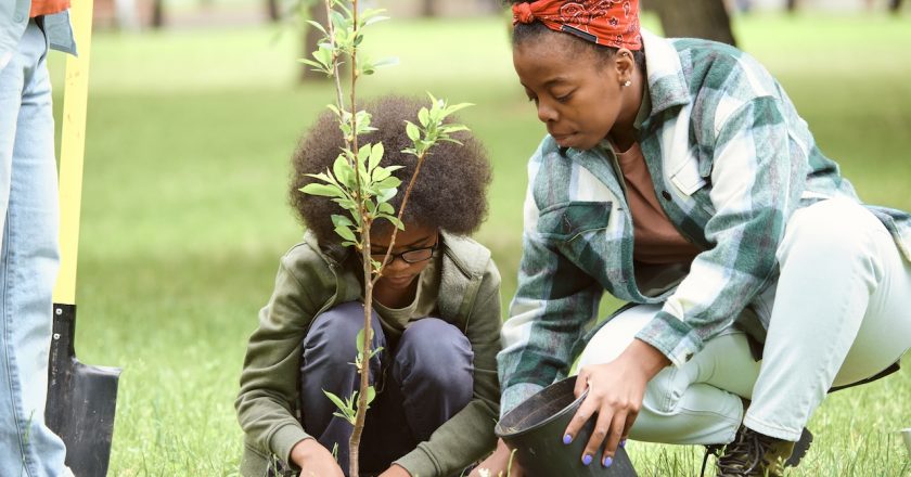 New Urban Forestry Initiative Targets Disadvantaged Communities Nationwide