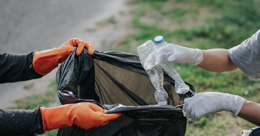 Consejos de CalRecycle para la temporada navideña: “Pequeñas acciones pueden tener un gran impacto”